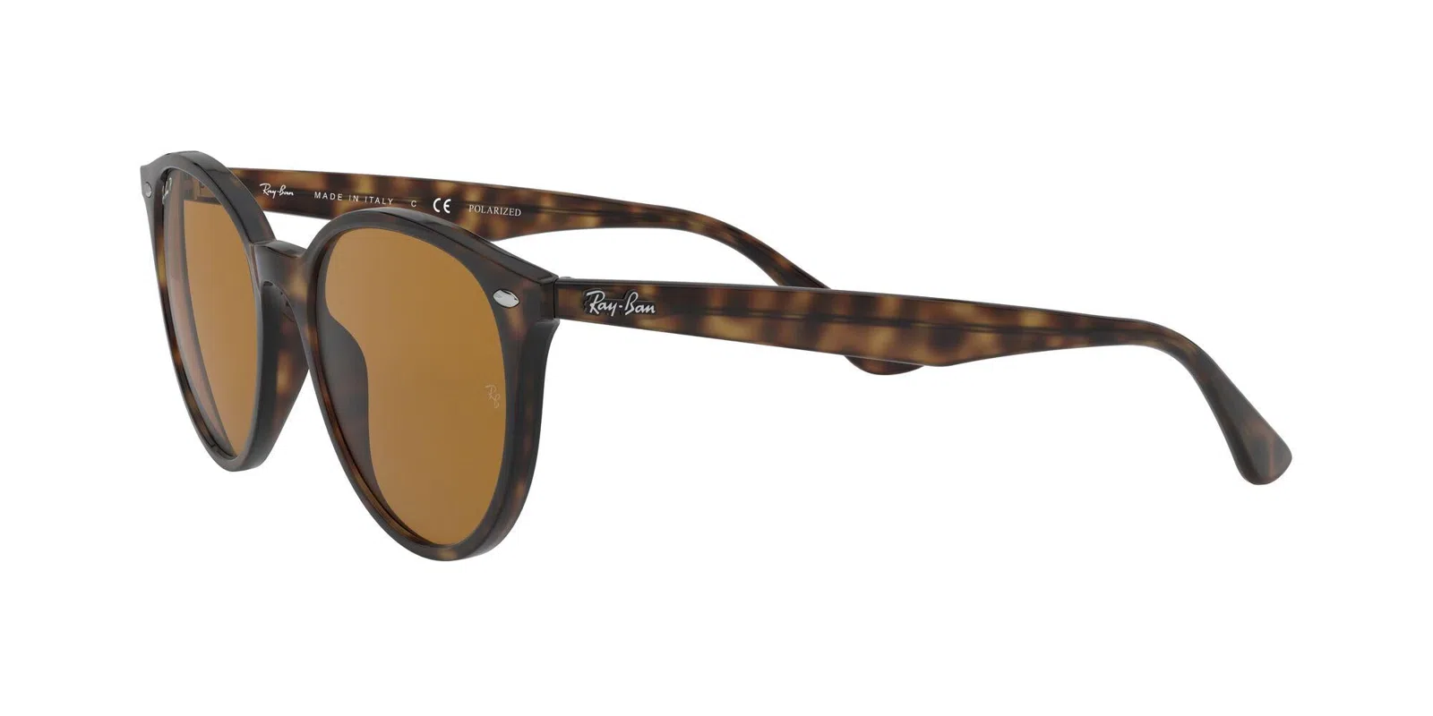 Ray-Ban 4305 Sunglasses - view 13